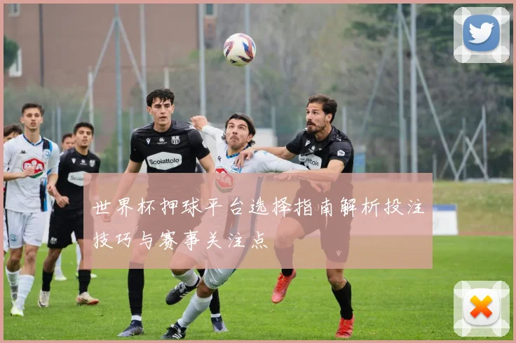 世界杯押球平台选择指南解析投注技巧与赛事关注点
