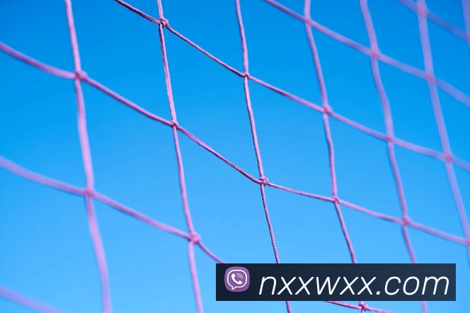 星空网官方站入口 - 星空online(中国)APP 体育赛事宣传图